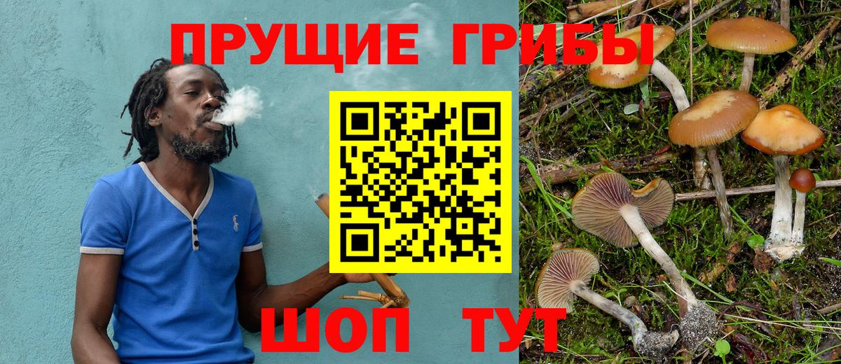 Шали  Псилоцибиновые грибы GOLDEN TEACHER  даркнет сайт  Вход с VPN 